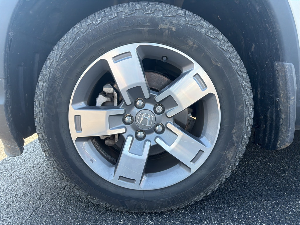 Photo 16