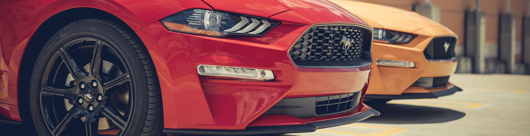 Ford Mustangs