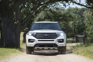 Ford Explorer and a tree
