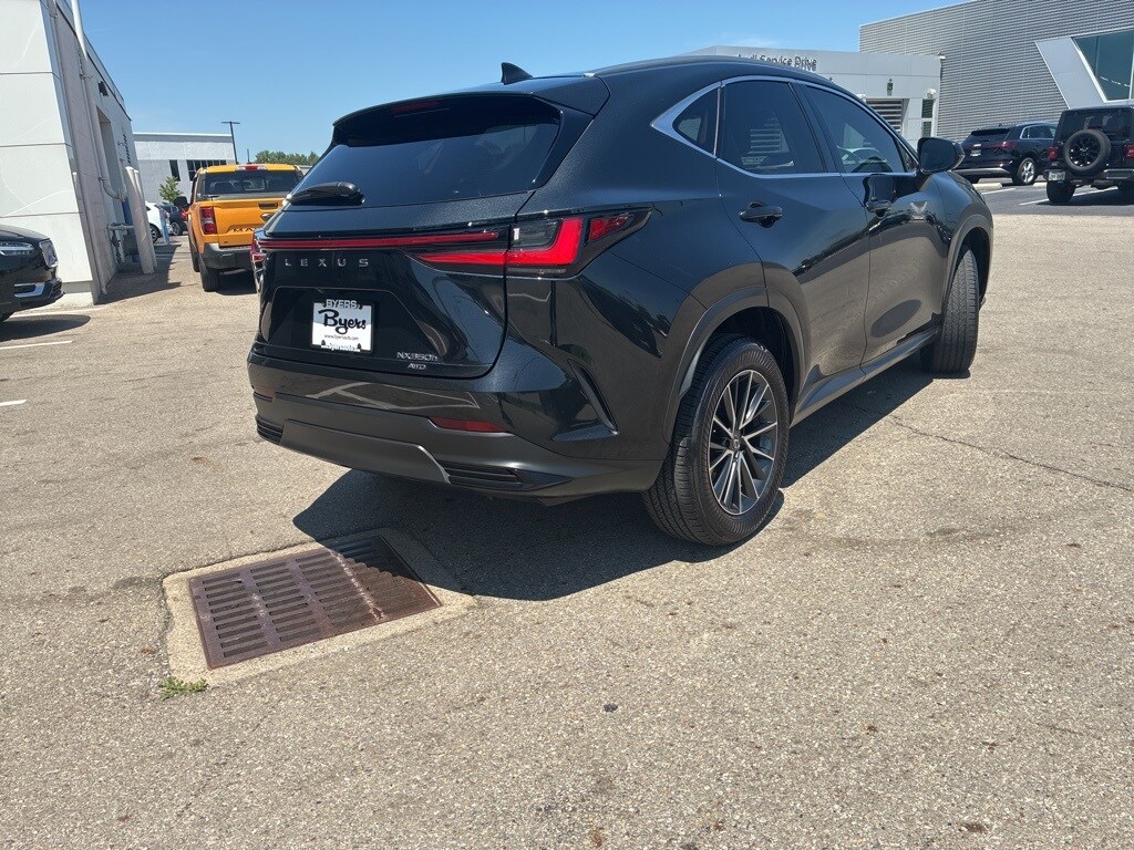 2024 Lexus NX 350h Premium photo 4