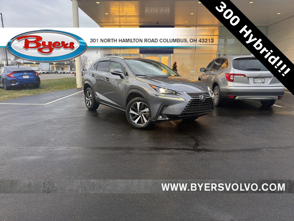 2021 Lexus NX Hybrid 300h's photo