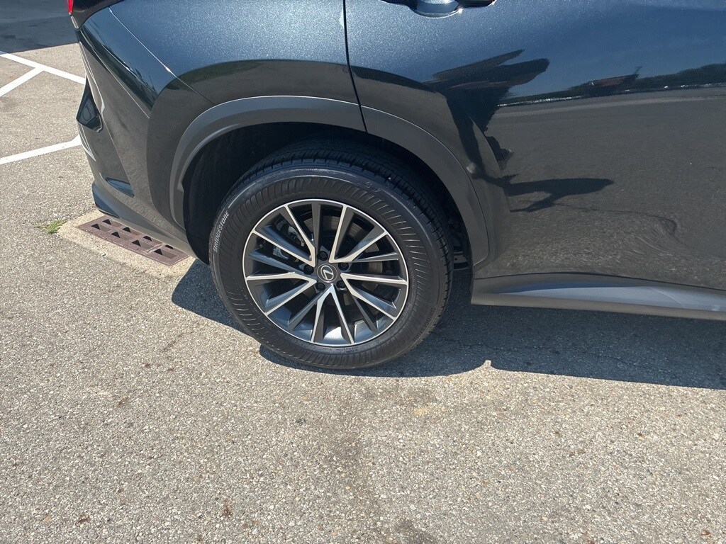 2024 Lexus NX 350h Premium photo 3