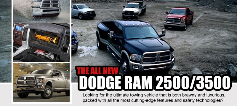 View Our Rams
