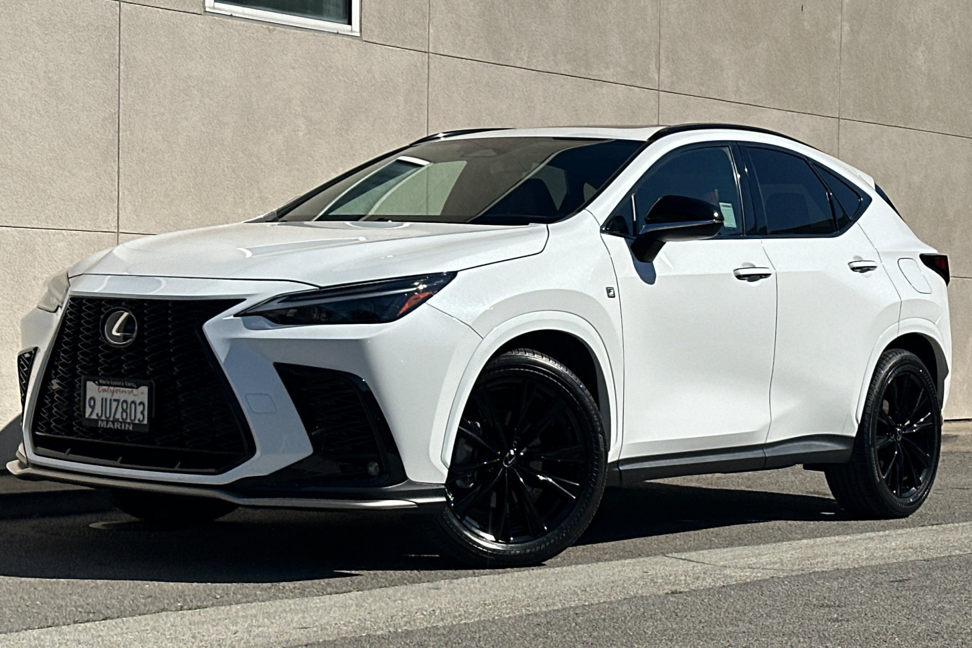 2024 LEXUS NX