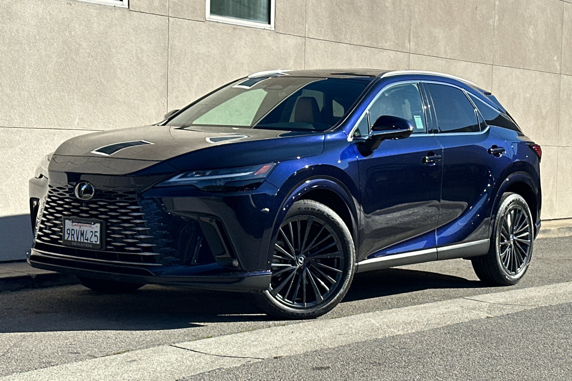2025 LEXUS RX