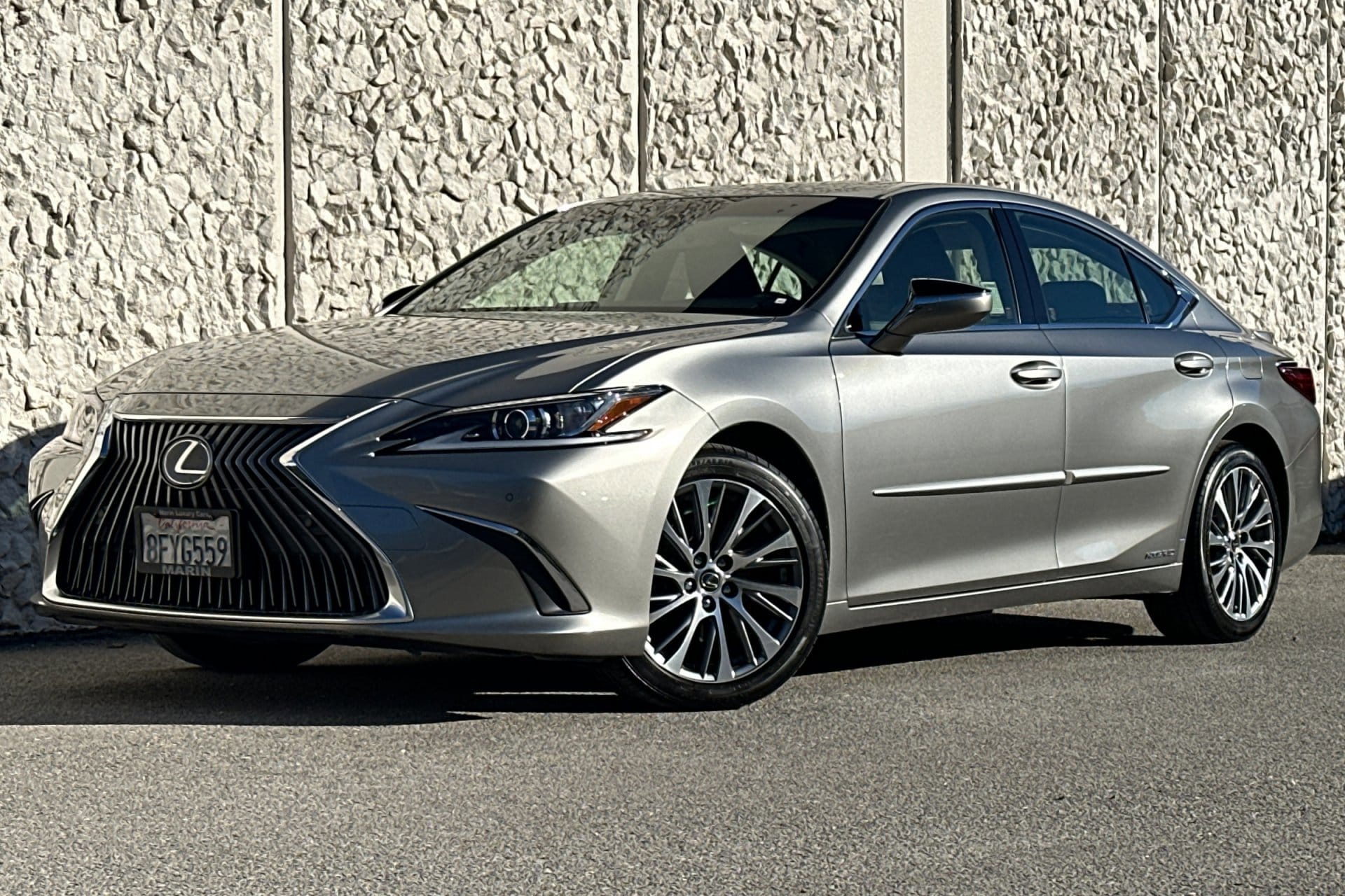 2019 Lexus ES Hybrid 300h's photo