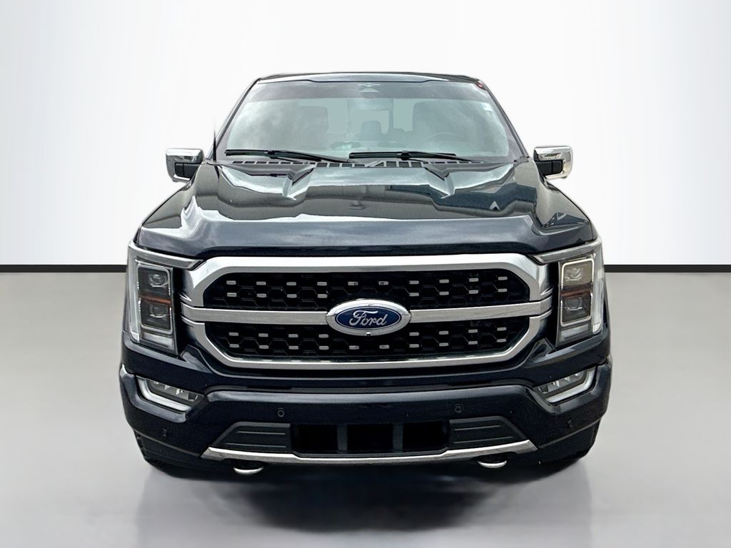 2023 Ford F-150 Platinum photo 2