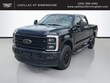  Ford Super Duty F-250 SRW