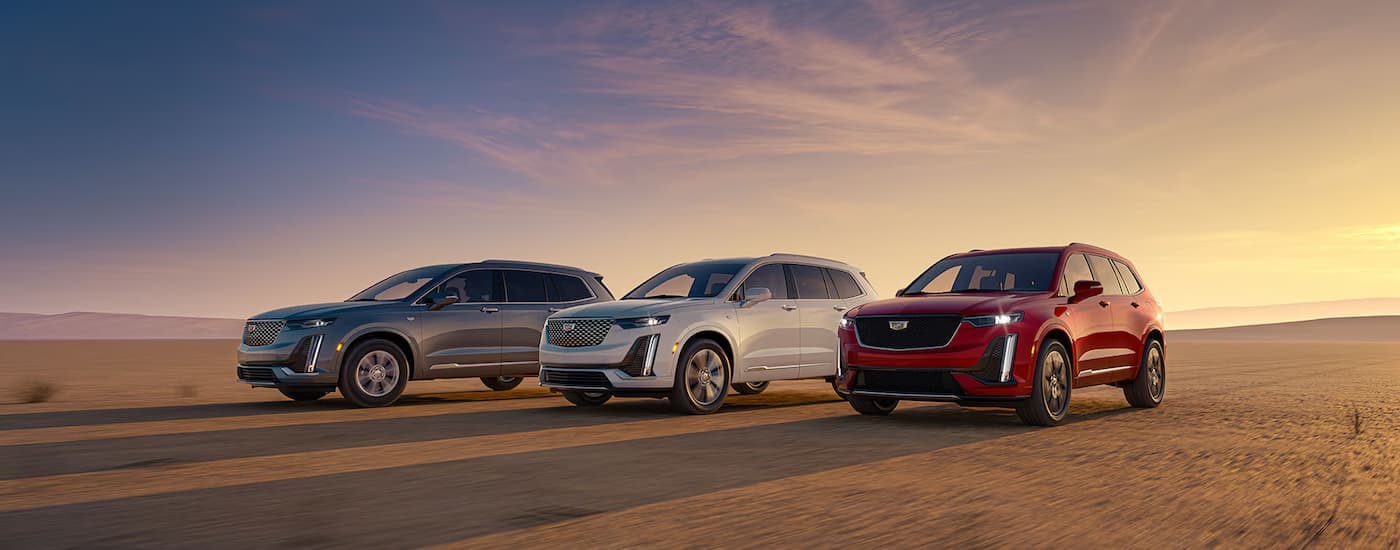 A red, a white, and a grey 2025 Cadillac XT6 are driving through a desert.