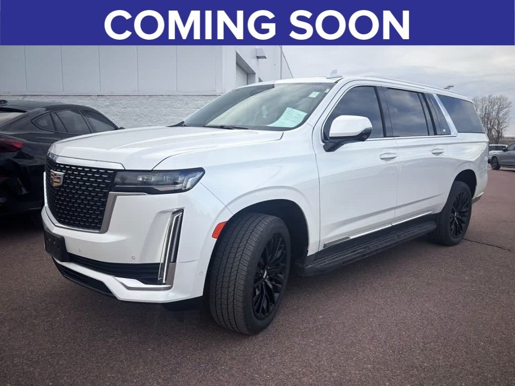 2024 Cadillac Escalade ESV Premium Luxury's photo