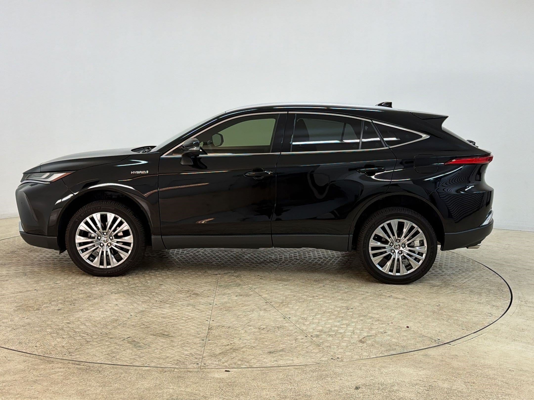 Venza LE