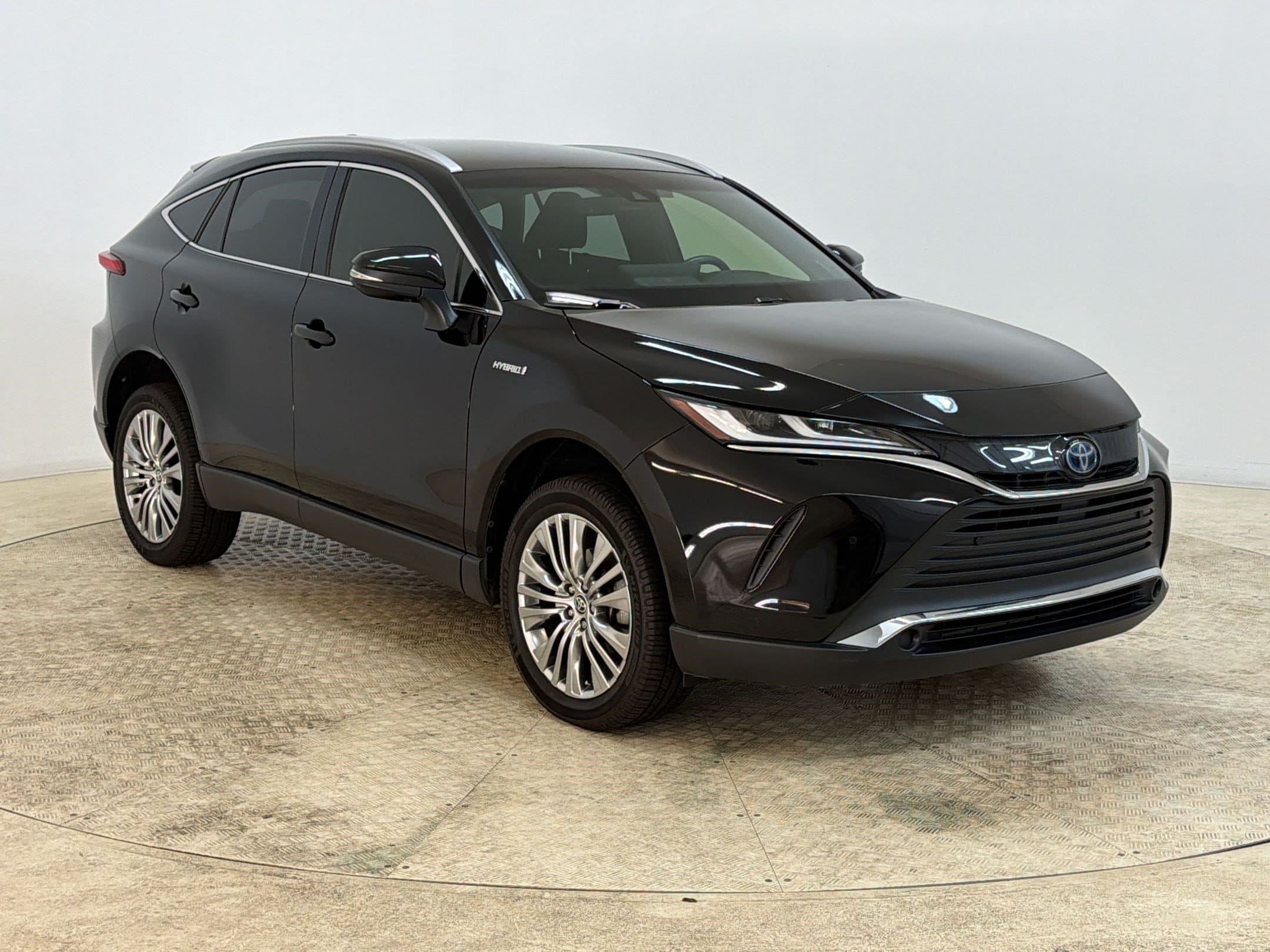 Venza LE