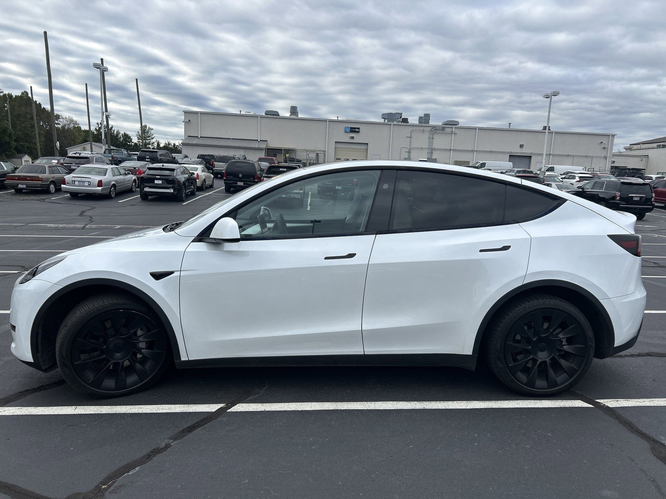 Used 2023 Tesla Model Y Long Range with VIN 7SAYGDEE4PA201227 for sale in Northfield, Minnesota