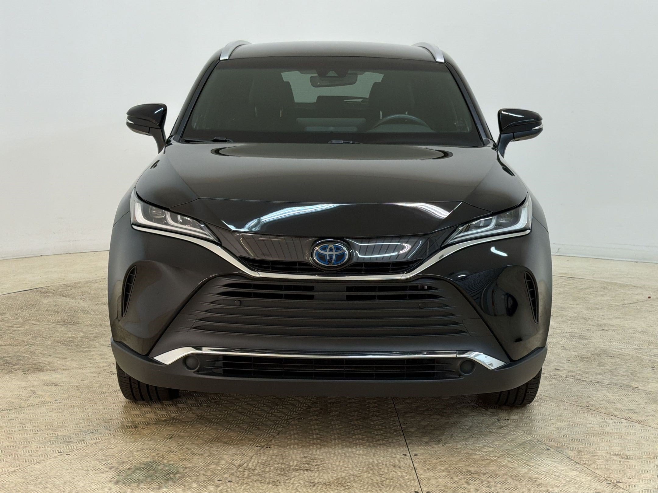 Venza LE