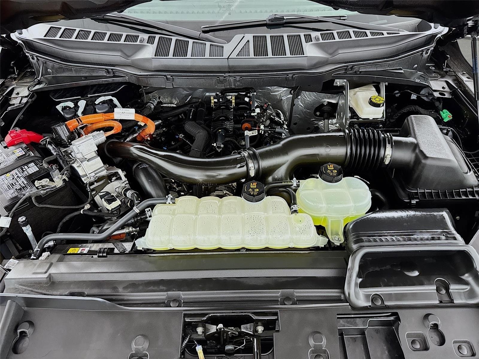 2025 Ford F-150 XLT - Photo 31