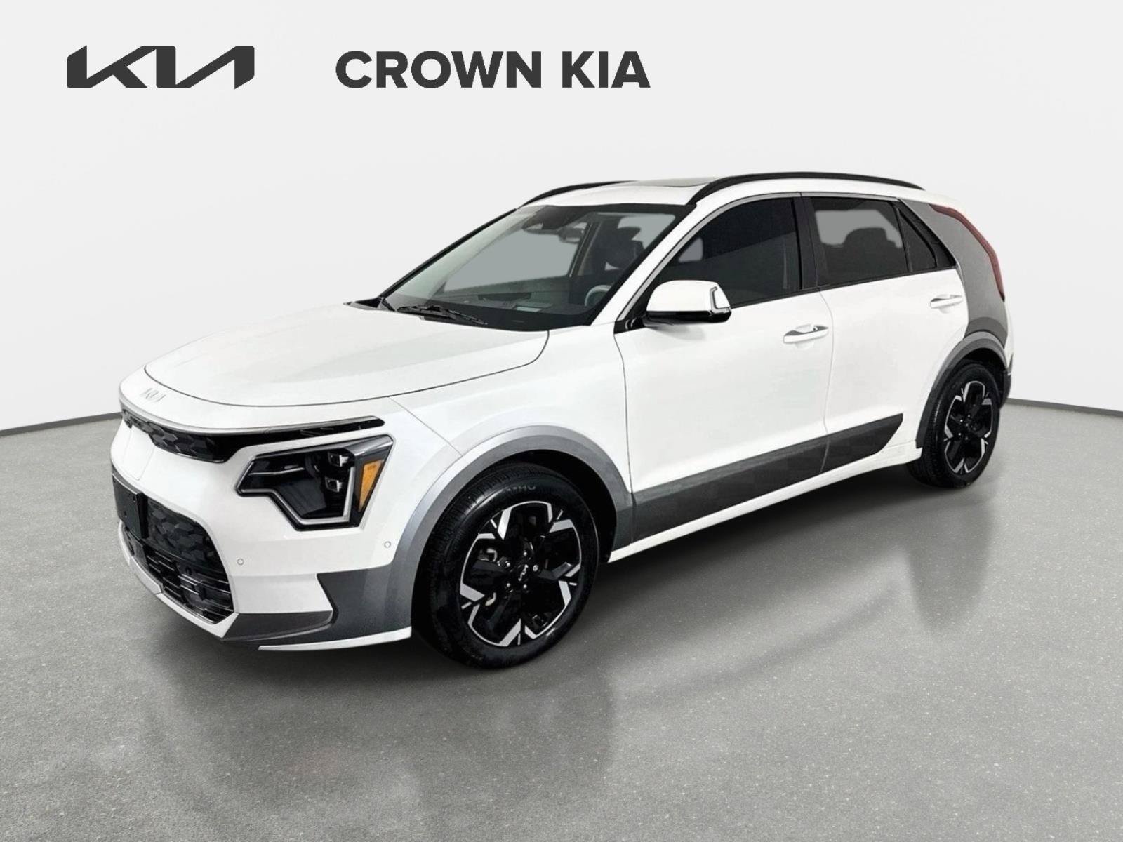  Kia Niro EV