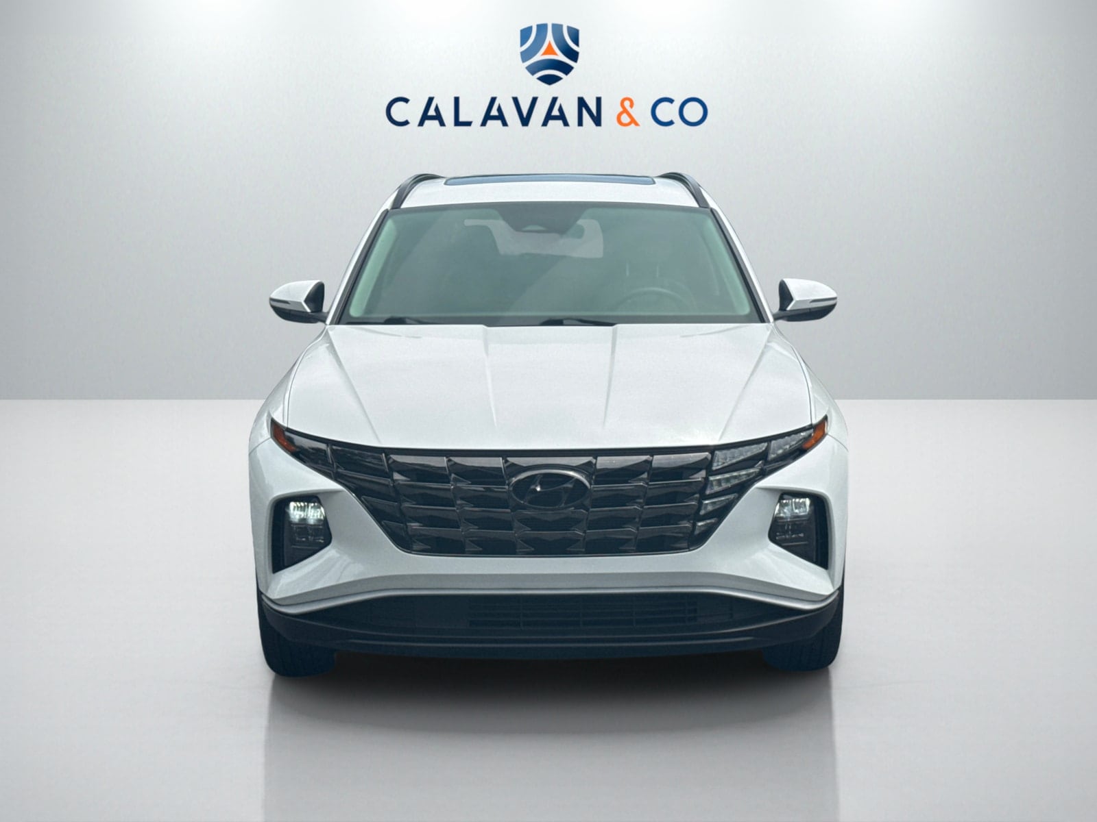 Certified 2022 Hyundai Tucson SEL with VIN 5NMJC3AE0NH135509 for sale in Lithia Springs, GA