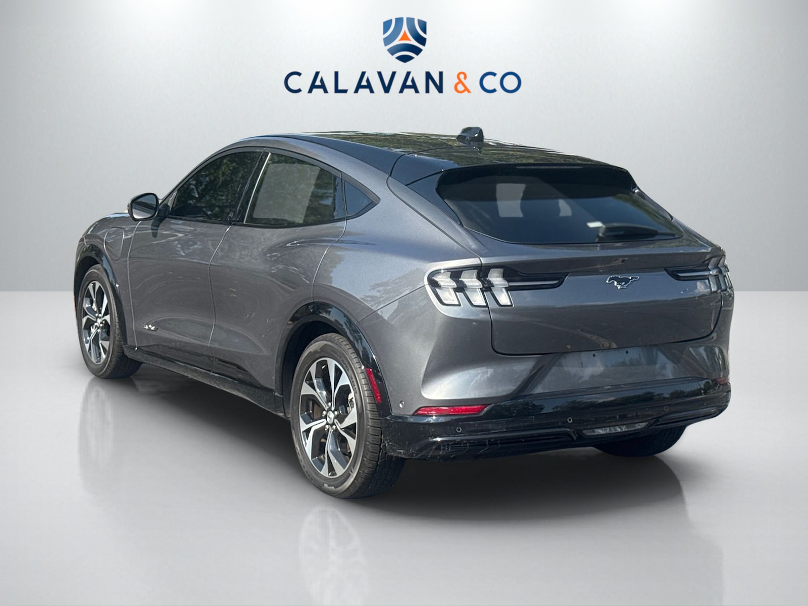 2021 Ford Mustang Mach-E Premium photo 3
