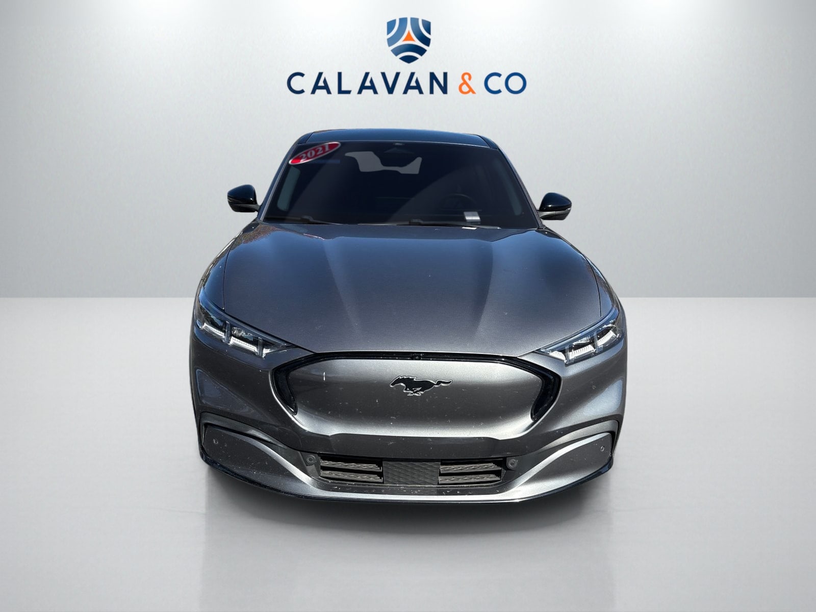 Used 2021 Ford Mustang Mach-E Premium RWD with VIN 3FMTK3R72MMA28745 for sale in Lithia Springs, GA