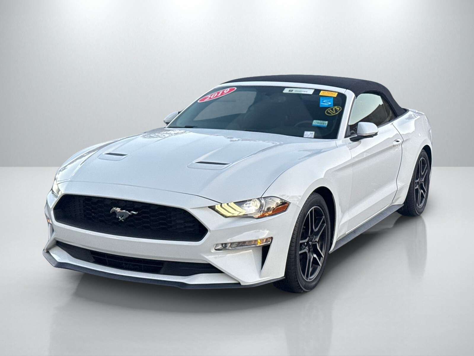 2019 Ford Mustang EcoBoost Premium photo 2