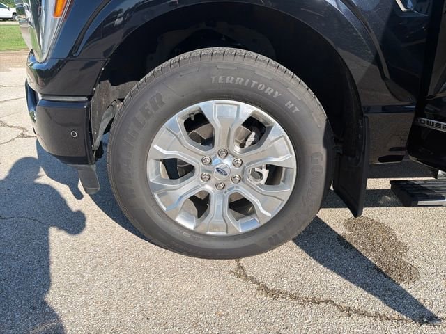 2023 Ford F-150 Platinum - Photo 28