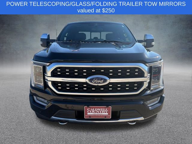 2023 Ford F-150 Platinum - Photo 9