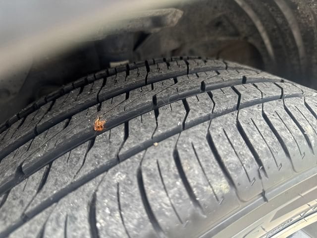 Photo 29