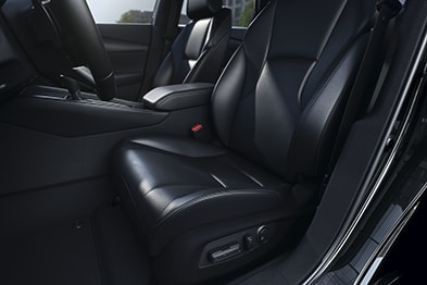 Interior Comfort