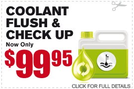Coolant Flush & Check Up