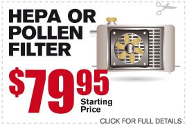 HEPA or Pollen Filter