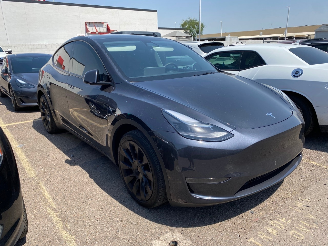 Used 2024 Tesla Model Y Long Range with VIN 7SAYGDEE1RA227531 for sale in Northfield, Minnesota