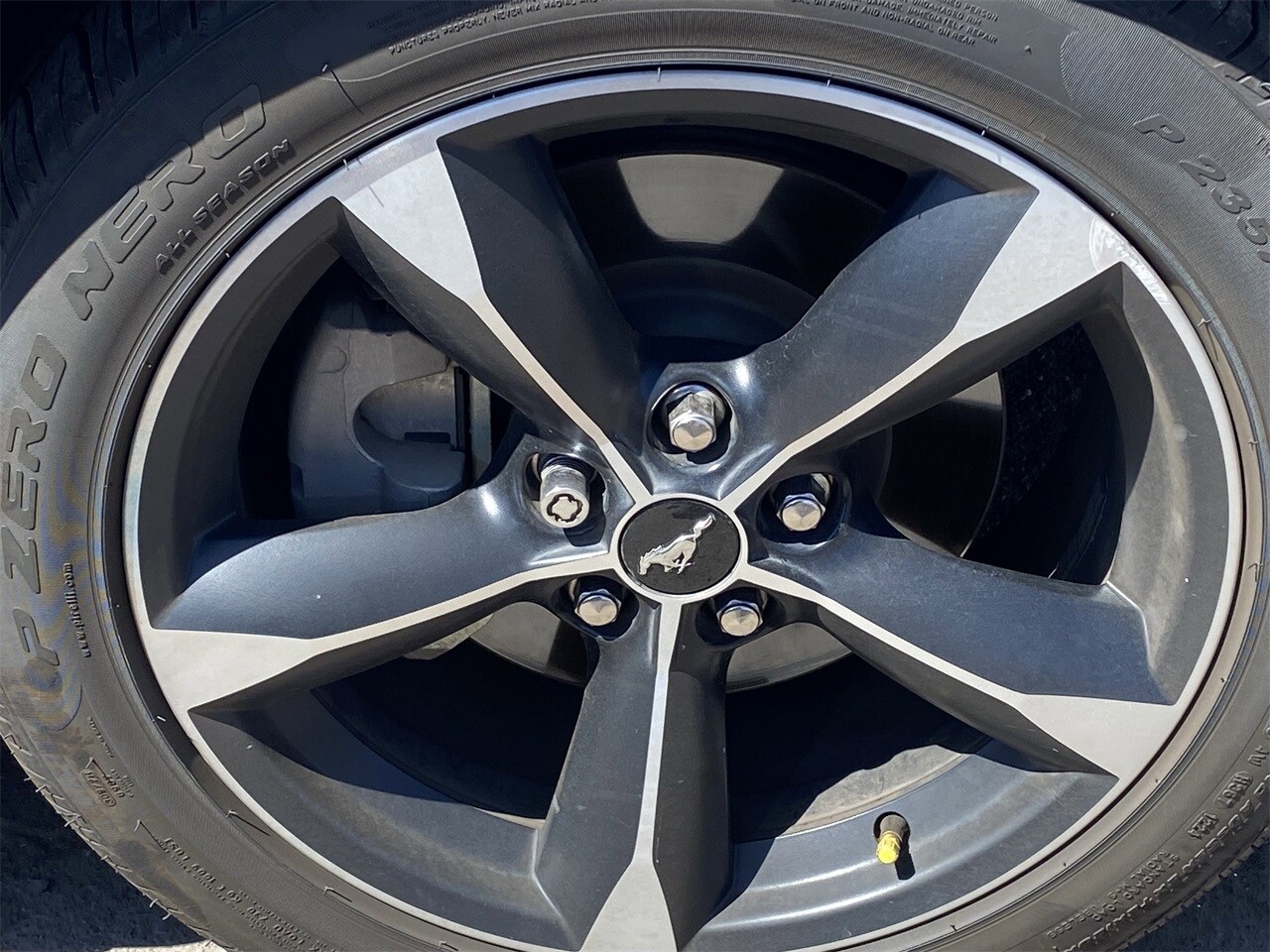 2022 Ford Mustang EcoBoost photo 2