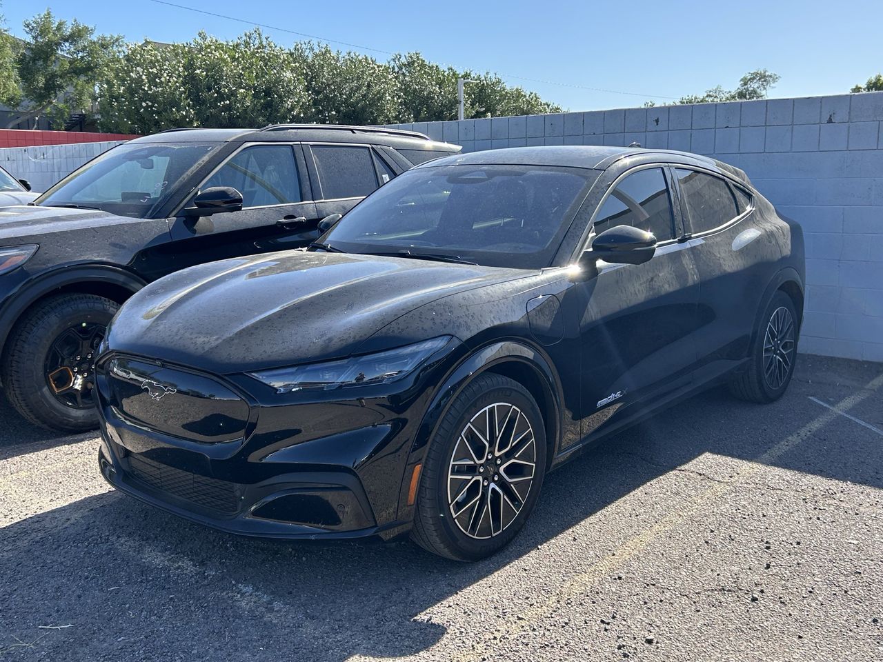 Used 2024 Ford Mustang Mach-E Premium RWD with VIN 3FMTK3R79RMA03204 for sale in Phoenix, AZ