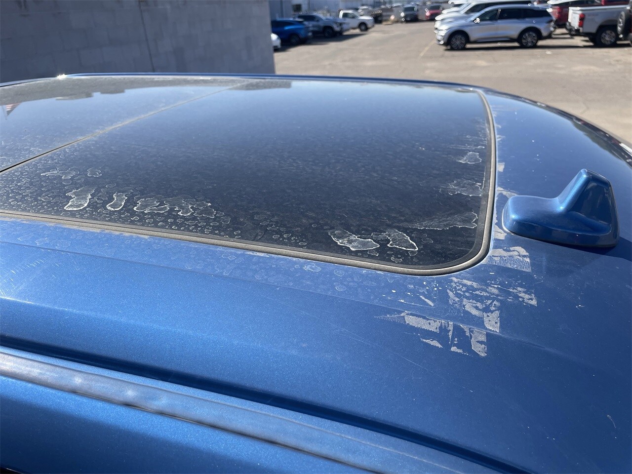 2019 Ford F-150 Raptor photo 4