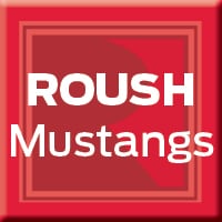 Roush mustangs