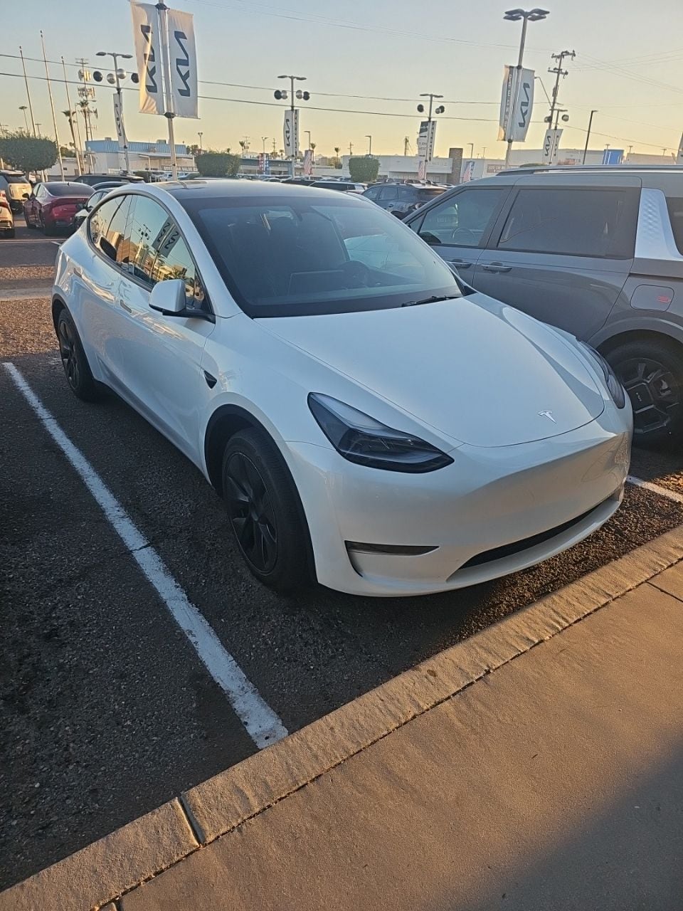 2025 Tesla Model Y