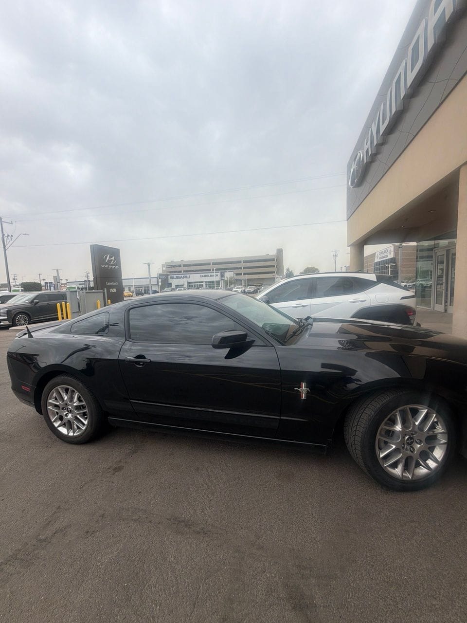 2013 Ford Mustang