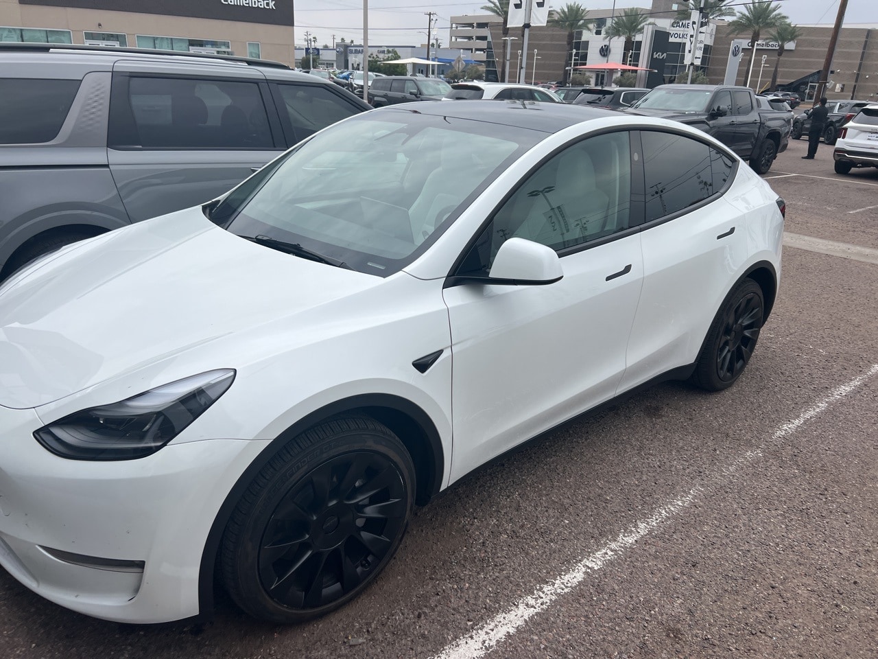 2023 Tesla Model Y Long Range's photo