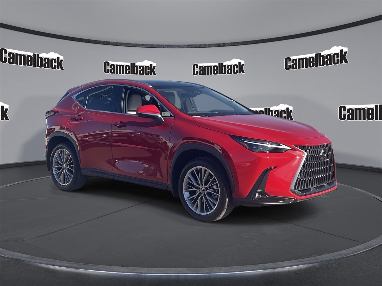 2025 Lexus NX Hybrid 350h's photo