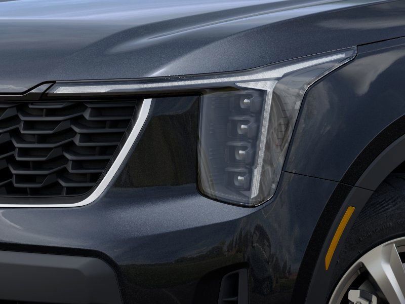 New 2026 Panthera Metal Kia LX image 10