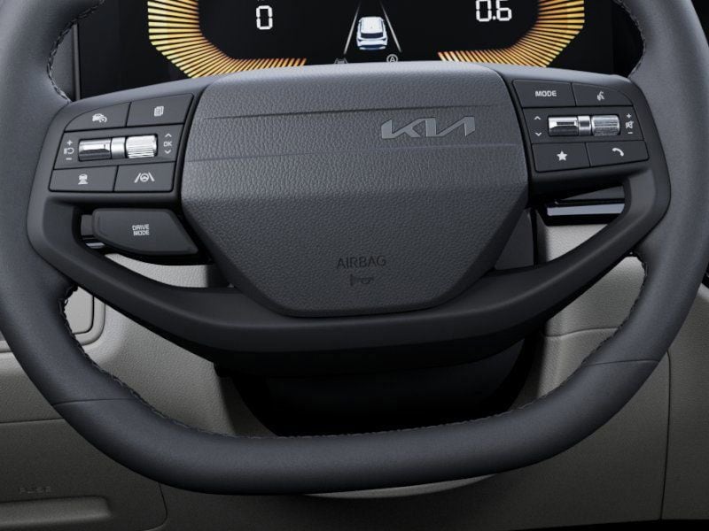 New 2026 Panthera Metal Gray Kia EX image 22
