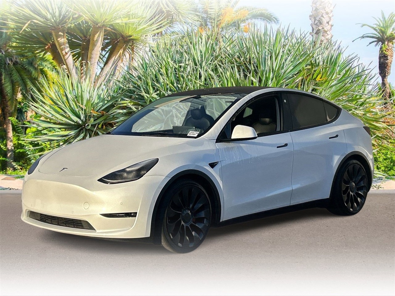 2022 Tesla Model Y Performance's photo