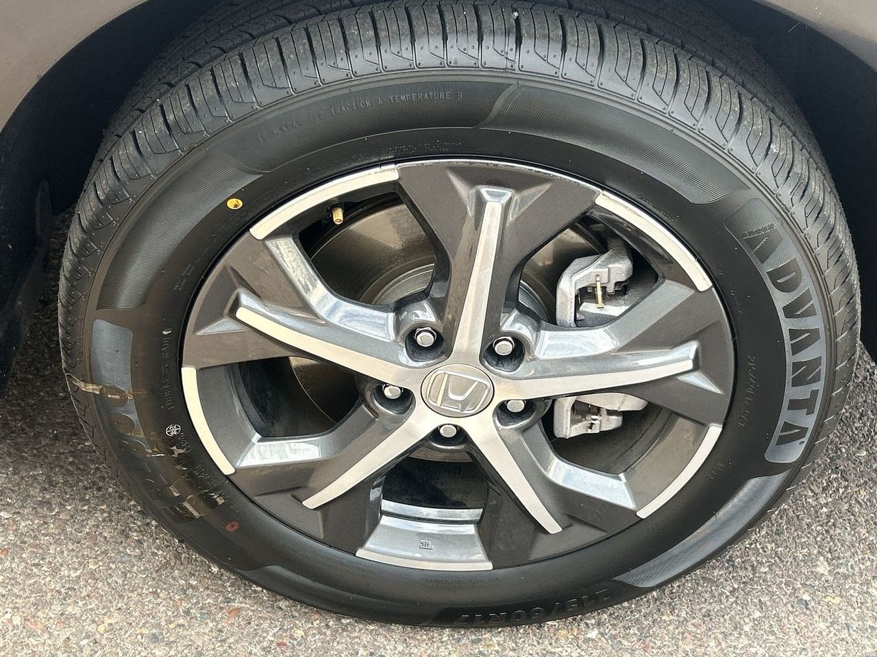 Photo 6