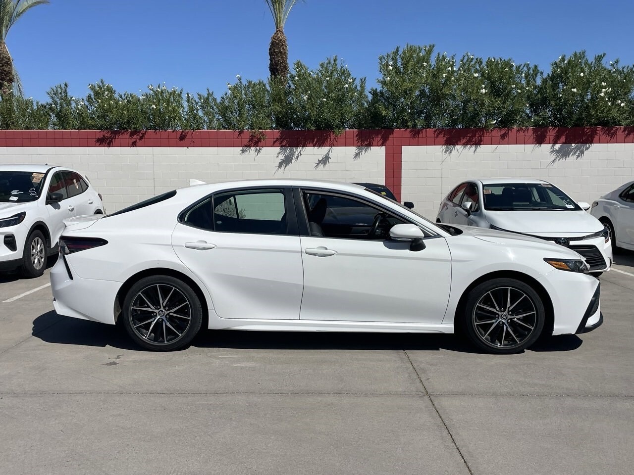 2024 Toyota Camry SE photo 3