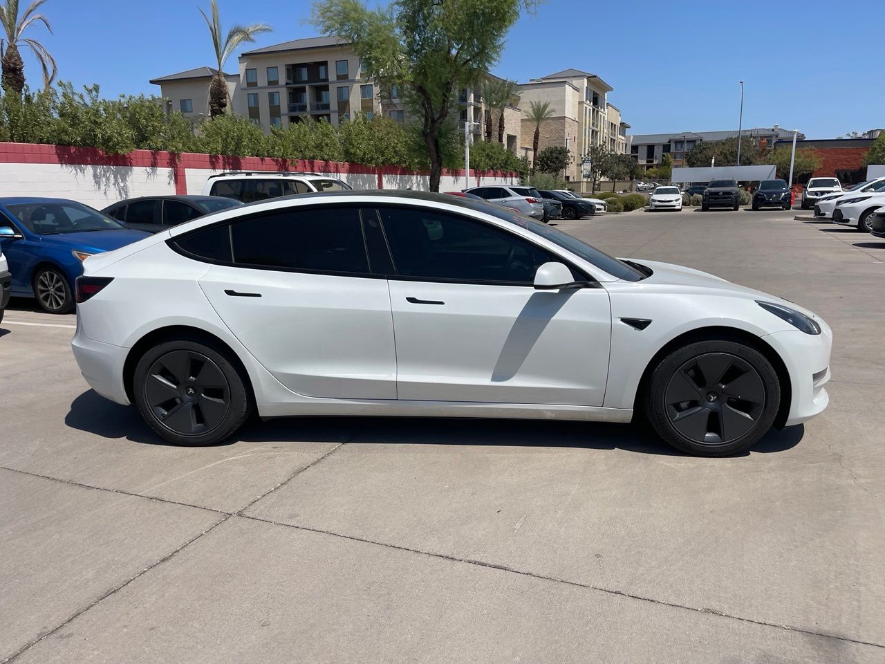 Used 2023 Tesla Model 3 Base with VIN 5YJ3E1EA3PF589353 for sale in Phoenix, AZ