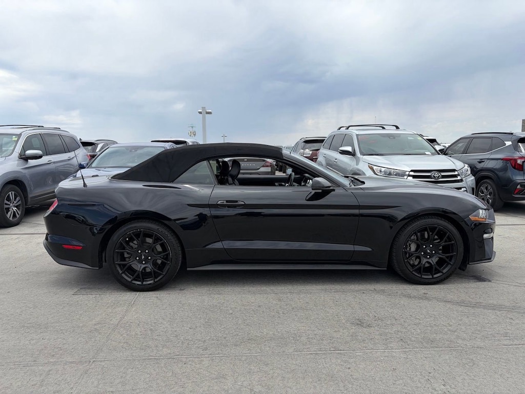 Used 2019 Ford Mustang Ecoboost Premium Convertible