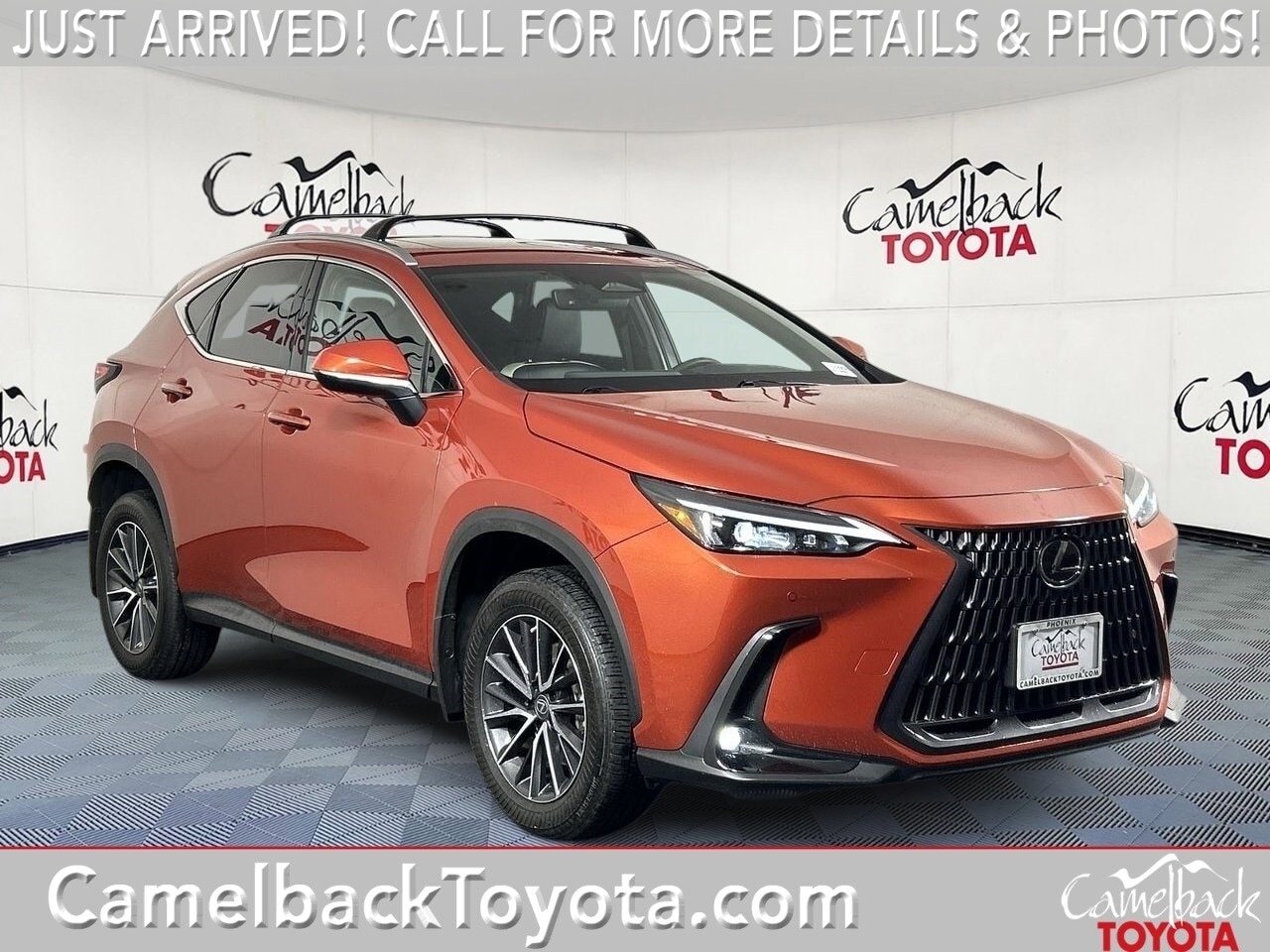2023 Lexus NX Hybrid 350h's photo