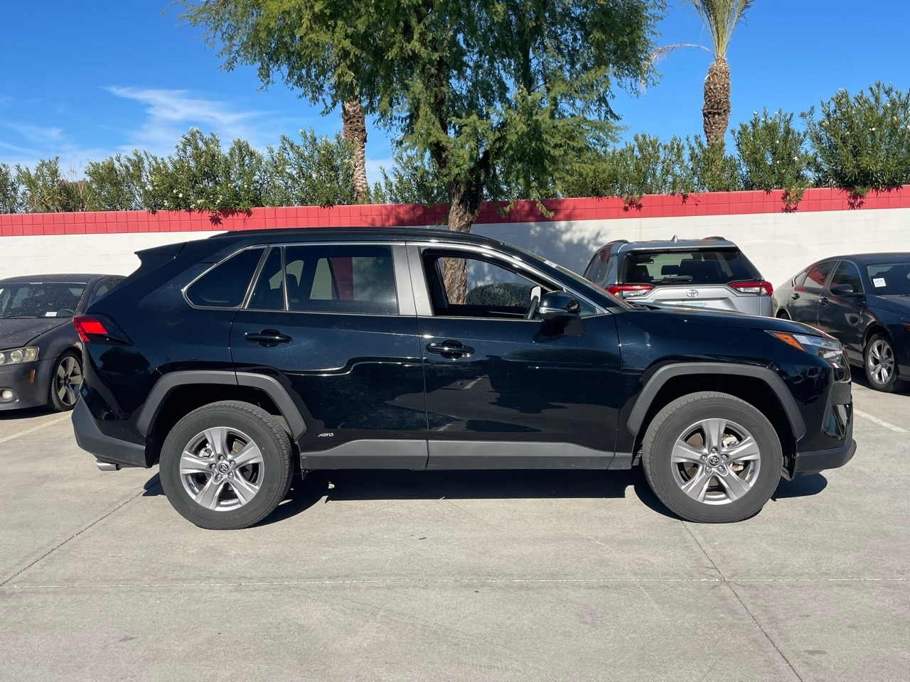 Certified 2025 Toyota RAV4 XLE with VIN 2T3RWRFV6SW263900 for sale in Northfield, Minnesota