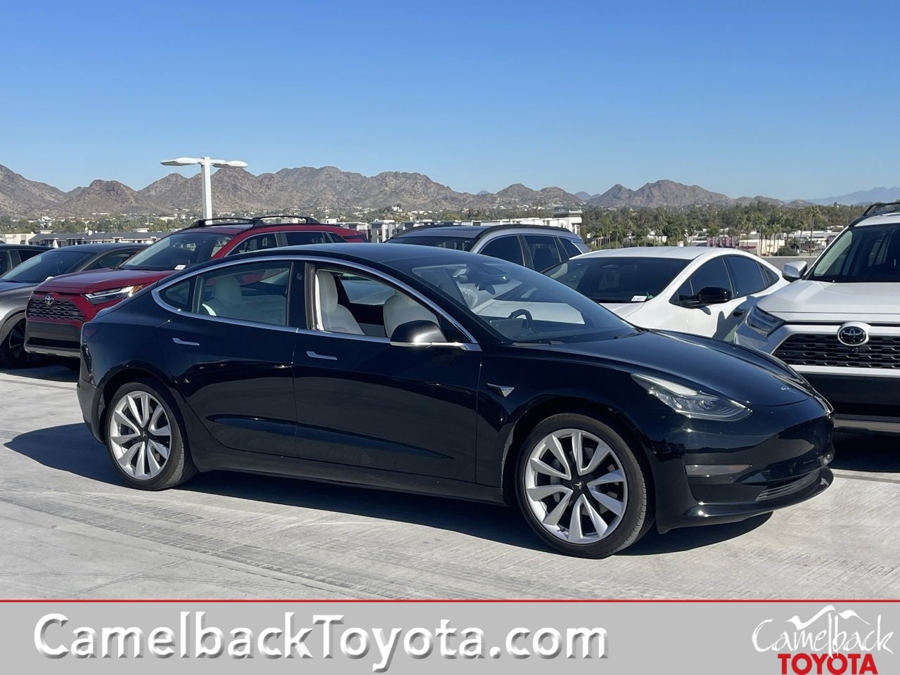 2019 Tesla Model 3 Base's photo