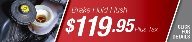 Brake Fluid Flush Special, Phoenix